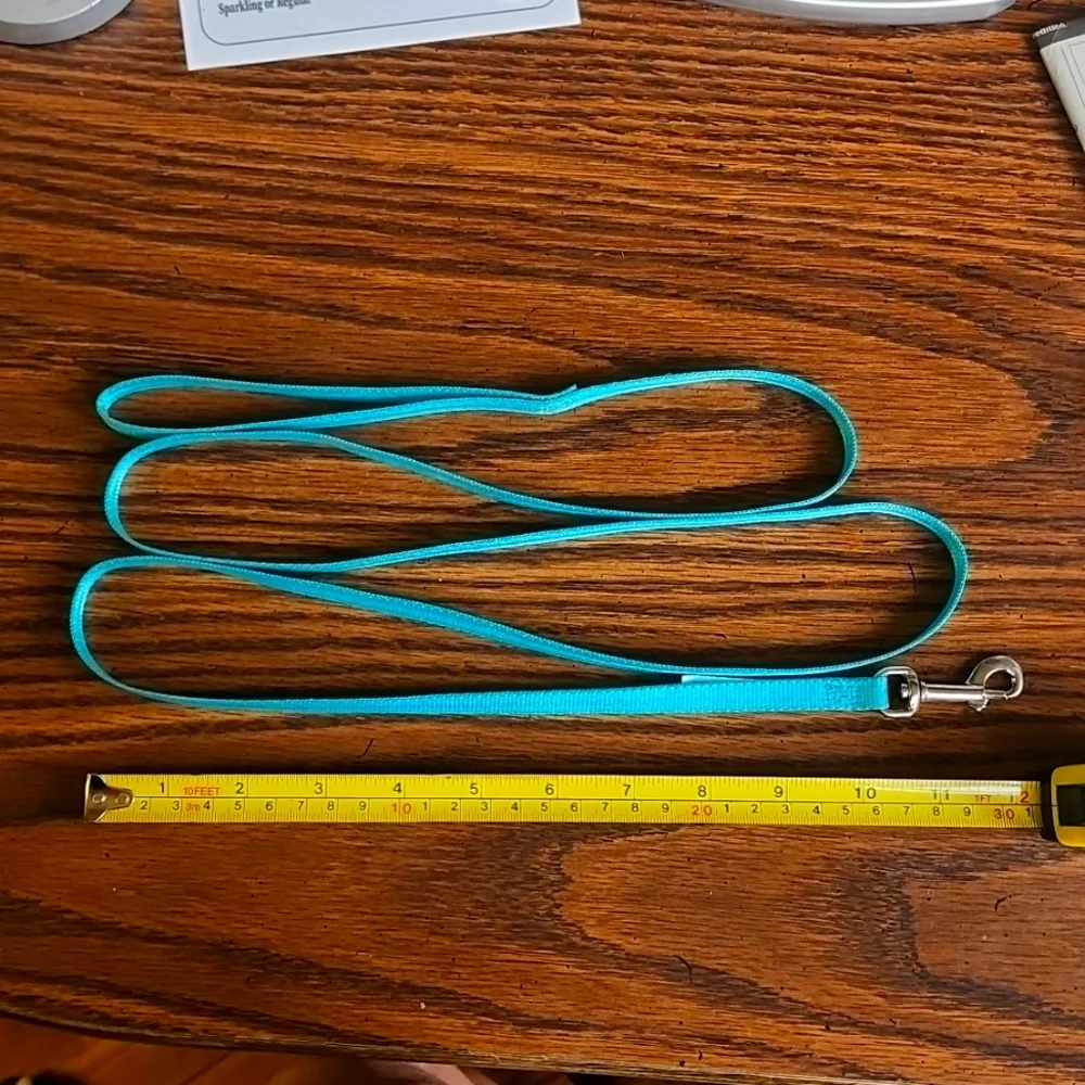 Cat Leash (or very small dog)